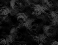 SHANNON Rosenplüsch Schwarz – 12 Mm Flor – 0,5m -Kullaloo rosenpluesch schwarz 3