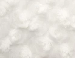 SHANNON Rosenplüsch Weiß – 12 Mm Flor – 0,5m -Kullaloo rosenpluesch weiss detail